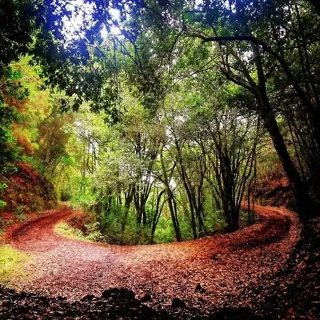 Apartment Tenohomes Elegant Hideaway In Nature *