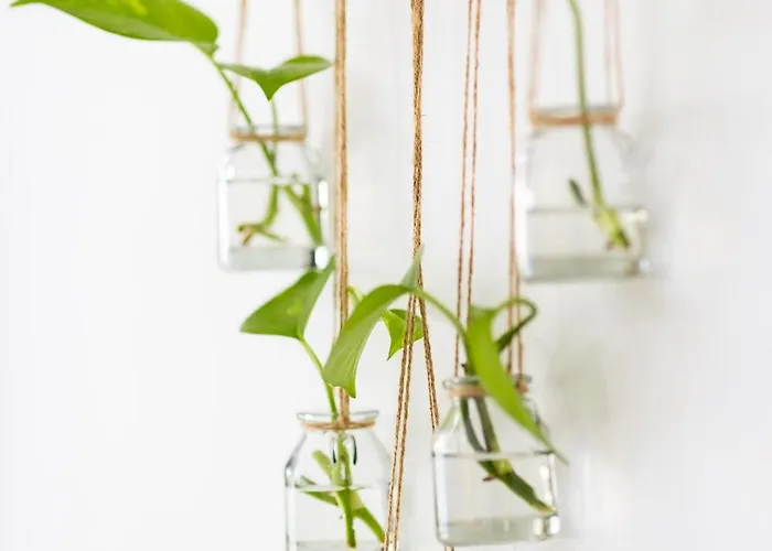 Tenohomes Elegant Hideaway In Nature Апартаменты