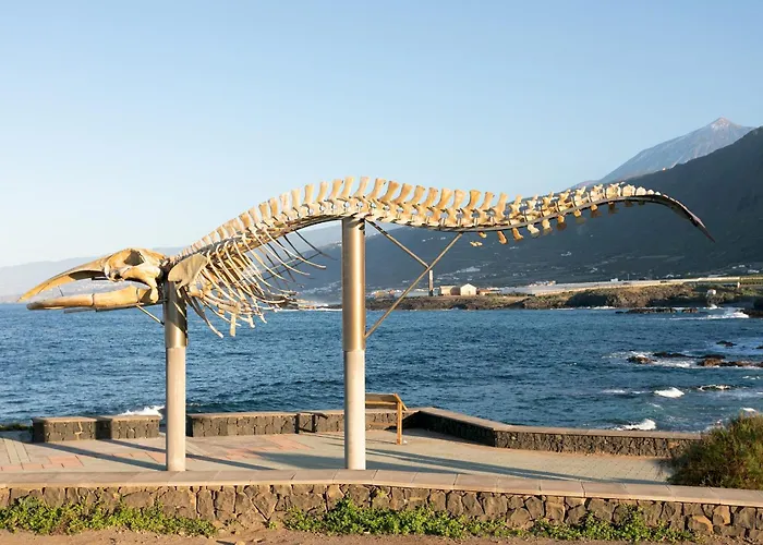 Apartamento Tenohomes Elegant Hideaway In Nature *