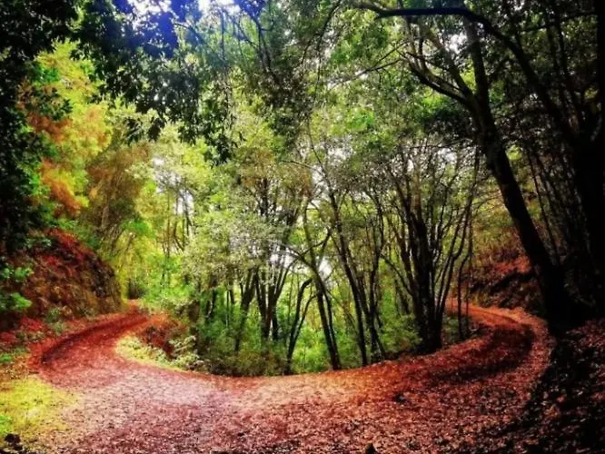 Apartamento Tenohomes Elegant Hideaway In Nature *