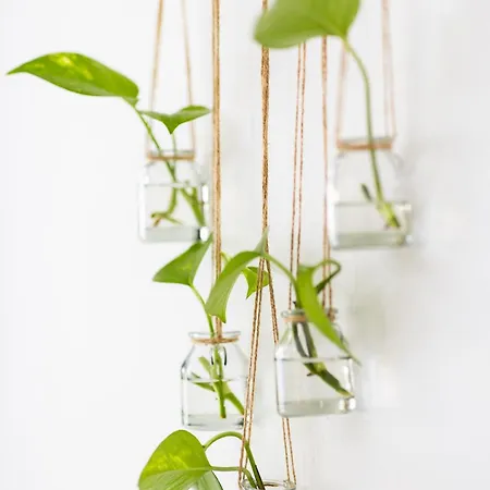 Tenohomes Elegant Hideaway In Nature 아파트