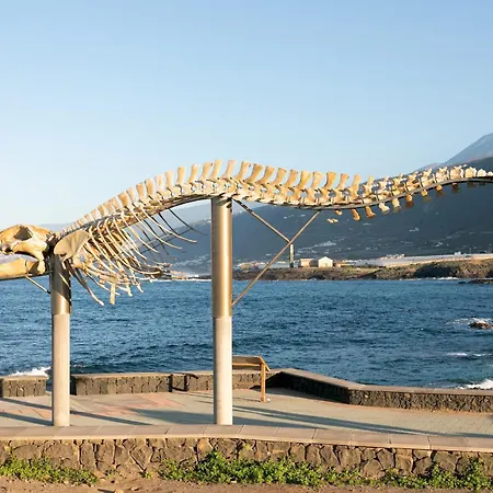 아파트 Tenohomes Elegant Hideaway In Nature *